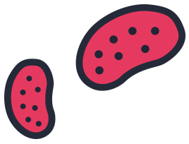 Beans